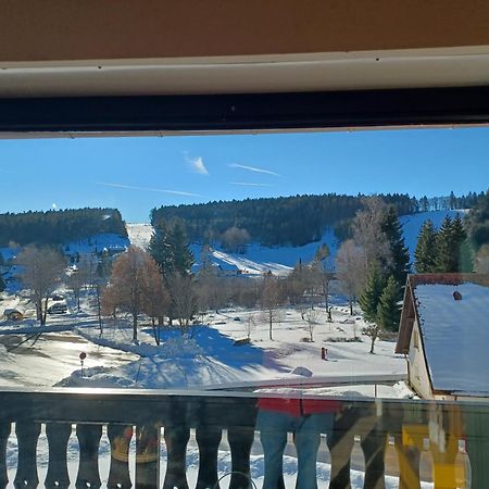 Schoene Ferienwohnung Im Suedschwarzwald Herrischried Exterior photo