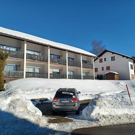 Schoene Ferienwohnung Im Suedschwarzwald Herrischried Exterior photo